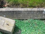image of grave number 909383